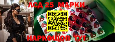индика Балахна