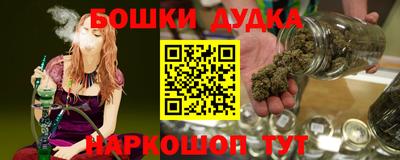 индика Балахна