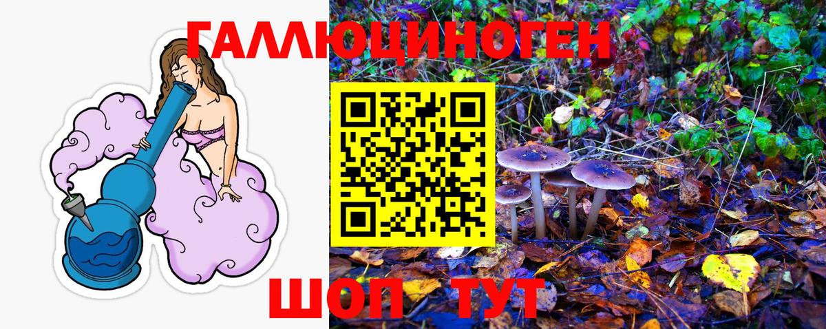 Галлюциногенные грибы Cubensis Железноводск