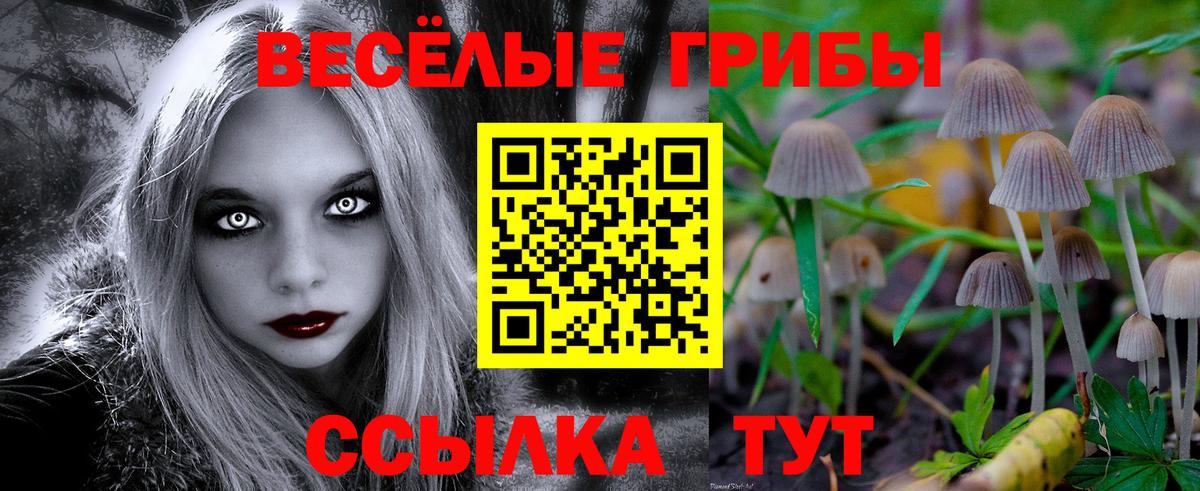 Галлюциногенные грибы мухоморы  Псилоцибиновые грибы GOLDEN TEACHER  Вход с VPN  Железноводск 